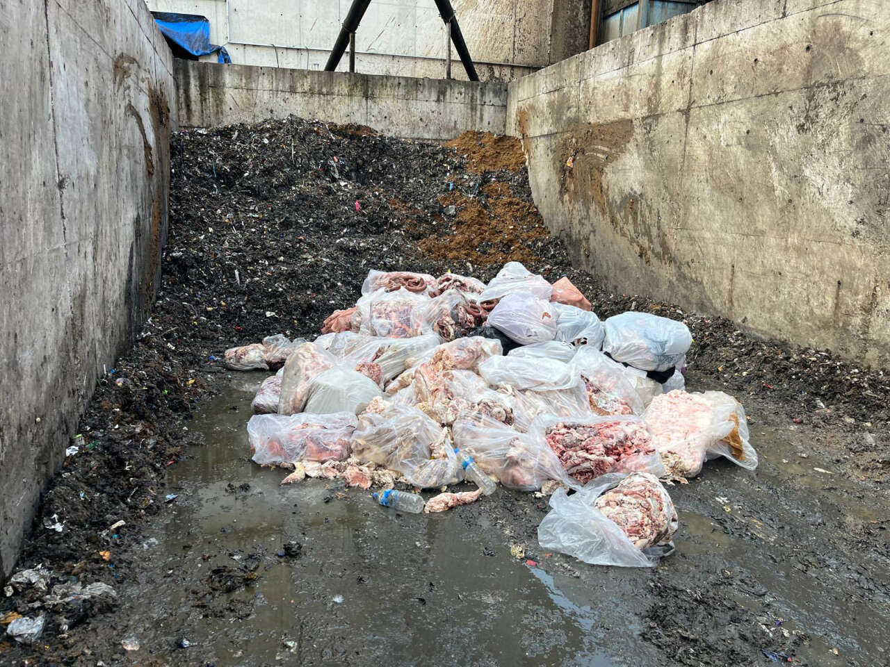 Sucukta domuz eti skandalı! 2,6 ton ürün imha edildi 1